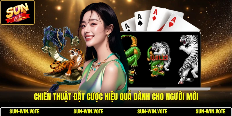 Chiến thuật đặt cược hiệu quả dành cho người mới